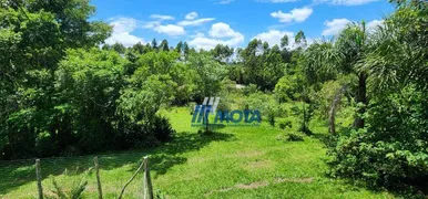 Fazenda / Sítio / Chácara com 3 Quartos à venda, 150m² no Lagoinha, Tijucas do Sul - Foto 23