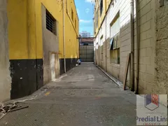 Galpão / Depósito / Armazém para alugar, 518m² no Cambuci, São Paulo - Foto 3