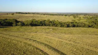 Fazenda / Sítio / Chácara com 7 Quartos à venda, 840m² no , Alto Garças - Foto 4