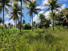 Fazenda / Sítio / Chácara à venda, 150m² no Jabaco, Igarassu - Foto 18