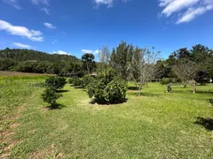 Fazenda / Sítio / Chácara com 2 Quartos à venda, 30000m² no Zona Rural, Campo Alegre - Foto 10