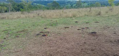 Fazenda / Sítio / Chácara com 3 Quartos à venda, 1340000m² no Area Rural de Ceilandia, Brasília - Foto 51