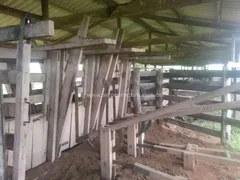 Fazenda / Sítio / Chácara com 1 Quarto à venda, 80000000m² no Zona Rural, Itiquira - Foto 31