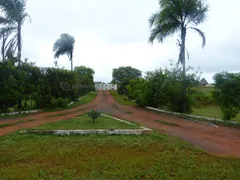 Fazenda / Sítio / Chácara com 3 Quartos à venda, 300m² no Núcleo Rural Lago Oeste, Sobradinho - Foto 24