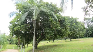 Fazenda / Sítio / Chácara com 8 Quartos para venda ou aluguel, 1000m² no Reforma Agraria, Valinhos - Foto 49