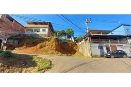 Terreno / Lote / Condomínio à venda, 390m² no Parque Independência, Juiz de Fora - Foto 7