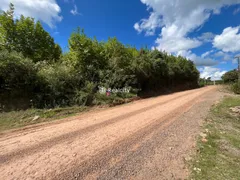 Terreno / Lote / Condomínio à venda, 10000m² no Vale dos Vinhedos, Bento Gonçalves - Foto 4