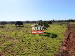 Fazenda / Sítio / Chácara à venda, 190m² no Zona Rural, Faina - Foto 20