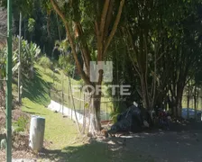 Fazenda / Sítio / Chácara com 5 Quartos à venda, 10300m² no Taboão, Mogi das Cruzes - Foto 30