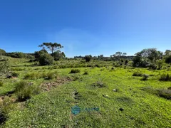 Fazenda / Sítio / Chácara à venda, 80m² no Vila Seca, Caxias do Sul - Foto 16