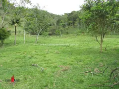 Fazenda / Sítio / Chácara com 4 Quartos à venda, 183000m² no Zona Rural, Rio Bonito - Foto 40