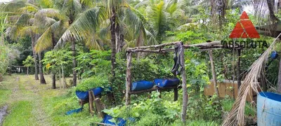 Fazenda / Sítio / Chácara com 3 Quartos à venda, 90m² no , José Bonifácio - Foto 6