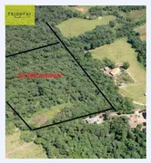 Terreno / Lote / Condomínio à venda, 28250m² no Distrito Industrial, Salto de Pirapora - Foto 11