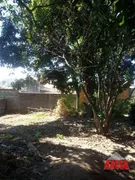 Terreno / Lote / Condomínio à venda, 126m² no Jardim Alvinopolis, Atibaia - Foto 2
