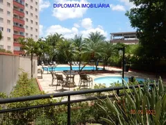 Apartamento com 3 Quartos à venda, 78m² no Vila Marieta, Campinas - Foto 6