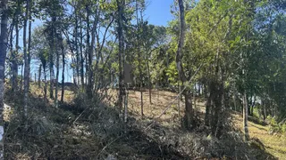 Fazenda / Sítio / Chácara com 3 Quartos à venda, 180m² no Centro, Bocaiúva do Sul - Foto 12