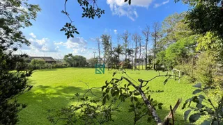 Fazenda / Sítio / Chácara com 2 Quartos à venda, 250m² no Jardim Aurora, Maringá - Foto 8