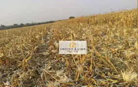 Fazenda / Sítio / Chácara à venda, 1000m² no , Nova Alvorada do Sul - Foto 7