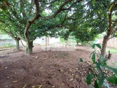 Fazenda / Sítio / Chácara à venda, 1000m² no Morada Nova, Uberlândia - Foto 1