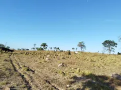 Fazenda / Sítio / Chácara com 3 Quartos à venda, 103m² no Zona Rural, Colinas do Sul - Foto 28