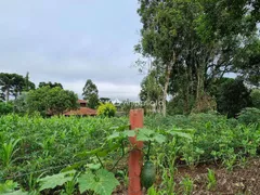 Fazenda / Sítio / Chácara à venda, 100m² no Rancho Alegre, Campina Grande do Sul - Foto 11