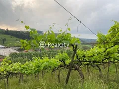 Terreno / Lote / Condomínio à venda, 140000m² no Vale dos Vinhedos, Bento Gonçalves - Foto 3