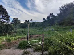 Fazenda / Sítio / Chácara à venda no Zona Rural, Heitoraí - Foto 11