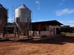 Fazenda / Sítio / Chácara com 3 Quartos à venda, 880000m² no Silva Campos, Pompéu - Foto 7