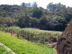 Fazenda / Sítio / Chácara com 9 Quartos à venda, 39000m² no Volta Fria, Mogi das Cruzes - Foto 4