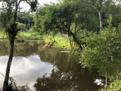 Fazenda / Sítio / Chácara com 6 Quartos à venda, 200m² no Centro, Mandirituba - Foto 10