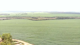 Fazenda / Sítio / Chácara à venda no Zona Rural, Itiquira - Foto 8