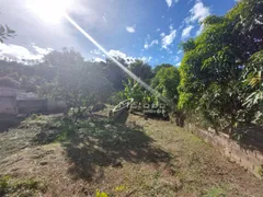 Terreno / Lote / Condomínio à venda, 1000m² no Parque Agrinco , Guararema - Foto 11