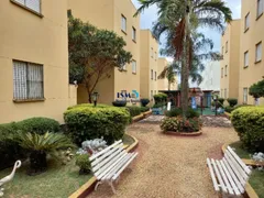 Apartamento com 2 Quartos à venda, 58m² no Parque Bandeirantes I, Sumaré - Foto 10