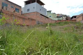 Terreno / Lote / Condomínio para venda ou aluguel, 256m² no Juliana, Belo Horizonte - Foto 6