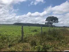 Fazenda / Sítio / Chácara com 3 Quartos à venda, 3900m² no Setor Central, Goiatins - Foto 8