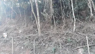 Terreno / Lote / Condomínio à venda, 10m² no Quitandinha, Petrópolis - Foto 4