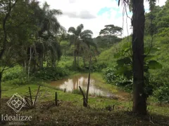 Fazenda / Sítio / Chácara à venda, 73610m² no Santa Isabel do Rio Preto, Valença - Foto 16