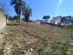 Terreno / Lote / Condomínio à venda, 1000m² no Trevo, Belo Horizonte - Foto 3