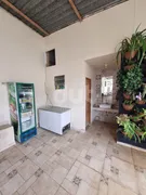 Fazenda / Sítio / Chácara com 9 Quartos à venda, 200m² no Jardim Boa Vista, Hortolândia - Foto 17