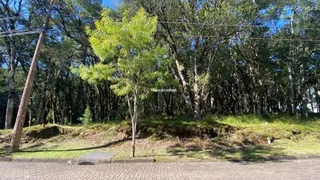 Terreno / Lote / Condomínio à venda, 728m² no Pinheiro Grosso, Canela - Foto 5