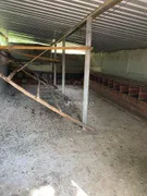 Fazenda / Sítio / Chácara com 3 Quartos à venda, 150m² no Zona Rural, Anápolis - Foto 25