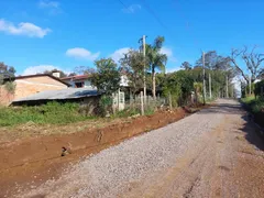 Terreno / Lote / Condomínio à venda no Nossa Senhora da Saúde, Caxias do Sul - Foto 3
