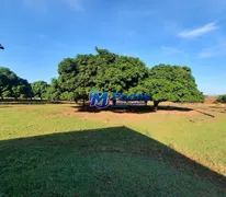 Fazenda / Sítio / Chácara com 1 Quarto à venda, 60m² no Centro, Tanabi - Foto 8