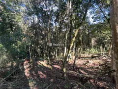 Terreno / Lote / Condomínio à venda, 1265m² no Vale dos Vinhedos, Bento Gonçalves - Foto 4