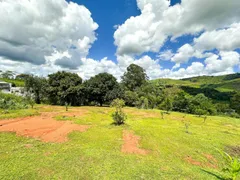 Fazenda / Sítio / Chácara com 3 Quartos à venda, 3800m² no Centro, Socorro - Foto 2