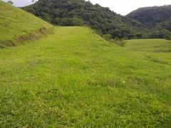 Fazenda / Sítio / Chácara à venda, 24000m² no Visconde de Mauá, Resende - Foto 10