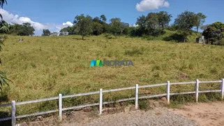 Fazenda / Sítio / Chácara com 1 Quarto à venda, 55m² no Zona Rural, Nova Serrana - Foto 18