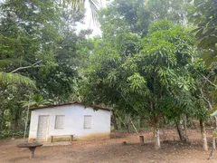 Fazenda / Sítio / Chácara com 3 Quartos à venda, 26000m² no Arembepe, Camaçari - Foto 11