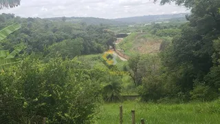 Fazenda / Sítio / Chácara com 4 Quartos para alugar, 300m² no Inacia de Carvalho, São José da Lapa - Foto 8