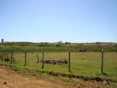Fazenda / Sítio / Chácara com 4 Quartos à venda, 5972m² no Centro Engenheiro Schmitt, São José do Rio Preto - Foto 34